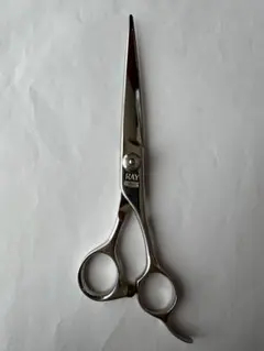 Item thumbnail for item 292d096f-57f2-49a1-b428-752014cfe703