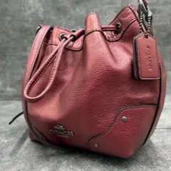 希少 極美品 コーチ ショルダーバッグ クロスボディ 巾着 バケツ型 レザー
