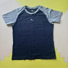 PUMA半袖Tシャツ値下げ