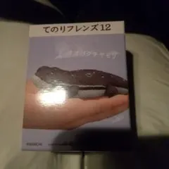 てのりフレンズ12 -爬虫類・両生類- オオバクチヤモリのサムネイル
