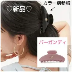 SNIDEL バンスクリップ(バーガンディ)♡新品・未使用♡完売品のサムネイル