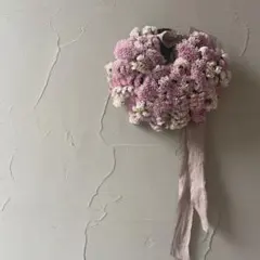 13.スターチスハーフリース