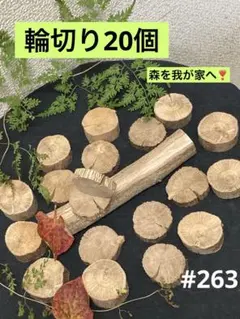 Item thumbnail for item 47d523a9-0a27-4aea-ab56-d5a31d5e9b03