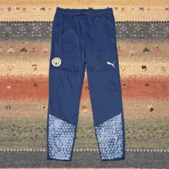 Item thumbnail for item 9d325382-cf18-4882-8973-b82b85f780ef