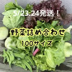 野菜セット 野菜詰め合わせ 100サイズのサムネイル