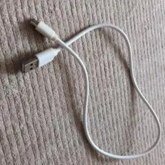 Bタイプのケーブル　40センチ