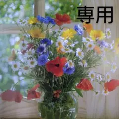 Item thumbnail for item 25a6d8a7-c286-4d0d-8512-232782d6a8d5