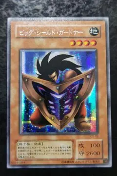 ビッグシールドガードナー