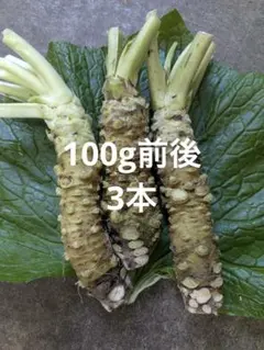 生わさび 使い切りサイズ200g 農家直送 伊豆産 山葵 野菜 - メルカリ