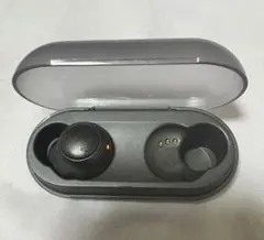 SONY WF-C500 ワイヤレスイヤホン黒　ケースと左耳のみ