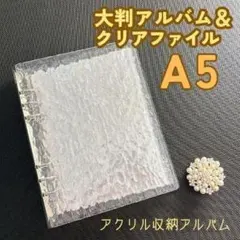 Item thumbnail for item cf9fba15-e132-4d7d-b962-82a27f7041df