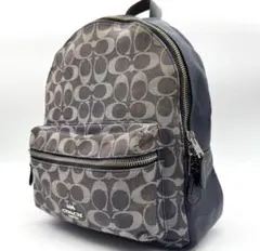 コーチ coachデニム シグネチャー リュック 馬車金具 バックパック