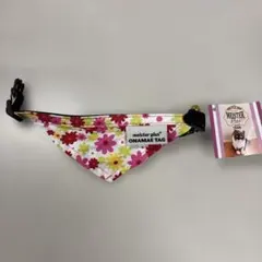 Item thumbnail for item fb1a0d3d-4a95-4ee9-9b43-e472d7d50832