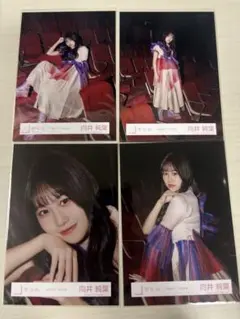 櫻坂46 向井純葉 アイドル写真 4枚セット