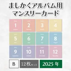 ましかくアルバム用マンスリーカード 2025年(12枚) B