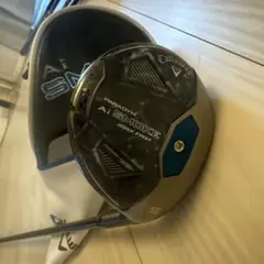 Item thumbnail for item 984abb31-9029-4a49-a13c-39e2698fe3d0