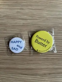 (NO) RAISIN SANDWICH カプセルトイ　缶バッジ