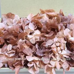 ふくちゃん(•‿•)プロフ♦様 リクエスト 3点 まとめ商品