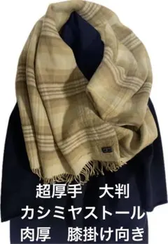 Item thumbnail for item 6f1c1ecc-a7c2-4efd-932f-2694069fab48