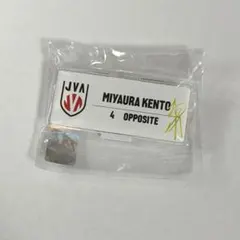 宮浦健人 スポーツ選手