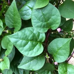 kiyo(*^_^*)様 リクエスト 5点 まとめ商品