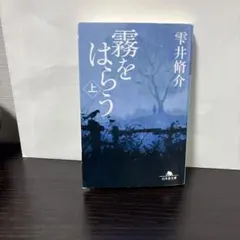 霧をはらう(上・下)