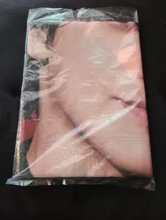 【非売品】グーネット　横浜流星のぼり