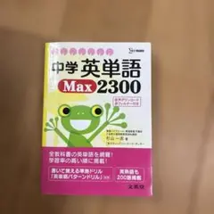 中学英単語Max2300 杉山一志著 文英堂 単語帳