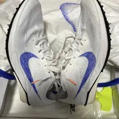 Item thumbnail for item bb3e6945-4600-4f70-b28d-e7d12b244932