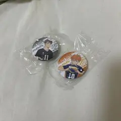 ハイキュー　日向翔陽・宮治ピンバッジセット