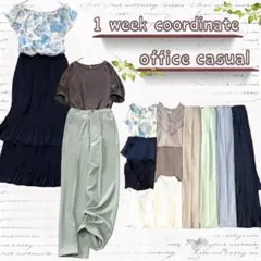 オフィスカジュアル きれいめ 1週間コーデセット まとめ売り セット売り 夏 秋