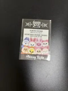 【限定値下】 Stray kids dominATE アプグレ　ステッカー