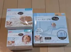 Item thumbnail for item 6c834ebc-b446-43e3-957b-03e323138575