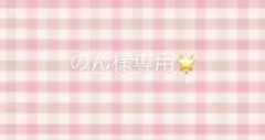 のん様専用⭐︎