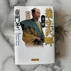 小説蒲生氏郷
