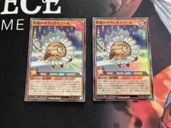 遊戯王 ラッシュデュエル 惑精のサタンカモミール スーパーレア