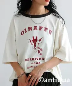 Tシャツ