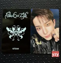 &TEAM NICHOLAS ニコラス 中華ヨントン BTL 1.0 | Mercari