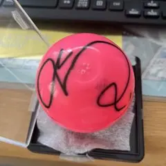 ive レイ　直筆サイン入りチェキ　ポラロイド　金髪 51hcldOS9QL._UF350,350_QL50_.jpg