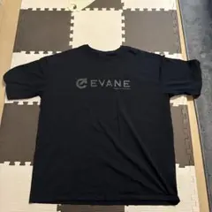 Item thumbnail for item 999fd85a-997c-4eed-9f8f-e2ea00388166