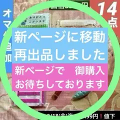 ♡日本未発売激レア♡タグ付未使用♡オーラカイリー♡ペンケース筆箱
