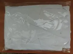 Item thumbnail for item 440f8936-11c5-4d53-ad73-867e22f44252