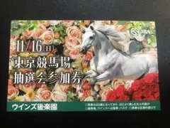 11/16東京競馬場 抽選参加券 ウインズ後楽園 競馬 グッズ JRA