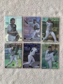 プロ野球チップス 2009 通販 スペシャル ボックス 限定 ベテラン