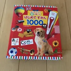 はじめてずかん1000※図鑑のみ