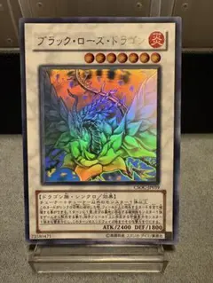 2026年最新】ブラックローズドラゴン ホロ psaの人気アイテム - メルカリ