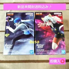 HUNTER×HUNTER VIBRATION カイト ネフェルピトー