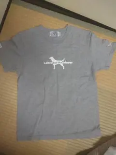ラブラドール・レトリーバー Tシャツ M グレー