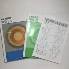 標準新演習　算数小5 塾教材　中学受験のサムネイル