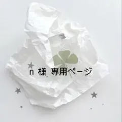 n 様専用ページ໒꒱˖*